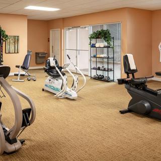 A well-equipped indoor gym featuring various exercise machines.