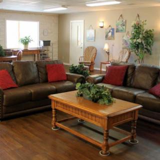 A cozy living room with brown sofas, a wooden coffee table, and indoor plants.