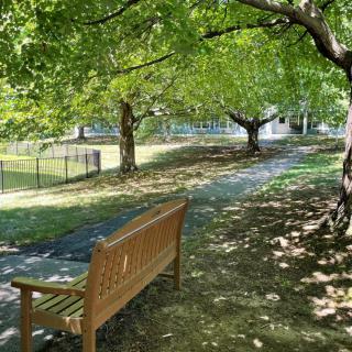 A peaceful park scene with a bench under the shade of leafy trees.