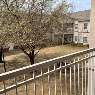 View from a balcony overlooking a courtyard with a tree.