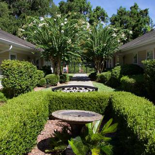A beautifully landscaped garden with manicured hedges and a gravel pathway leading through the greenery.