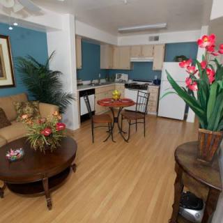 A cozy apartment interior featuring an open floor plan with a living room and kitchen area, decorated with flowers and modern furniture.