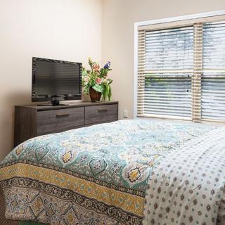 A cozy bedroom featuring a patterned bedspread, a TV on a dark dresser, and sunlight streaming through blinds.