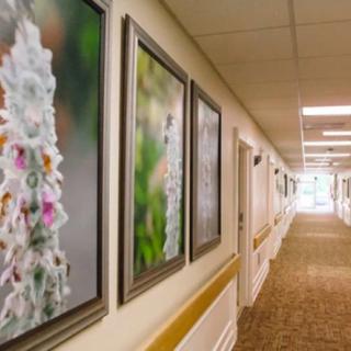 A hallway adorned with framed floral photographs on the walls.