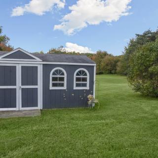 A backyard scene featuring a blue shed, surrounded by a green lawn and trees under a blue sky.