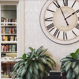 A cozy interior with a large wall clock, lush green plants, and a well-stocked bookshelf.