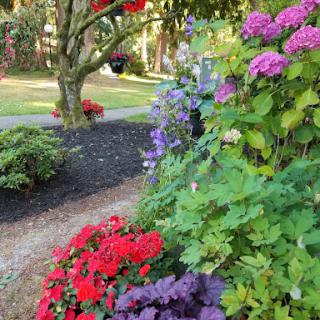 A vibrant garden filled with various colorful flowers, showcasing the beauty of nature.
