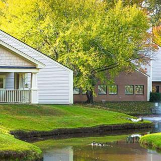 A peaceful residential area with houses surrounded by lush trees and a tranquil pond.