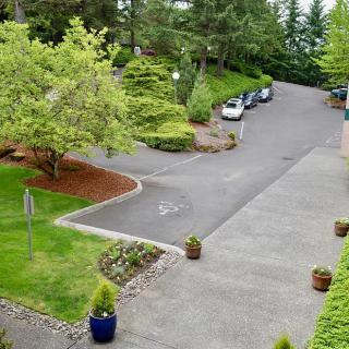 A scenic view of a driveway and parking lot surrounded by lush greenery and trees.