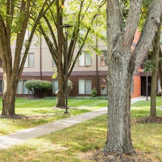 A serene path bordered by trees leading to a building in an urban setting.