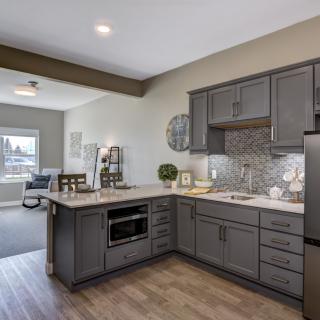 A modern kitchen with gray cabinetry and wood flooring.