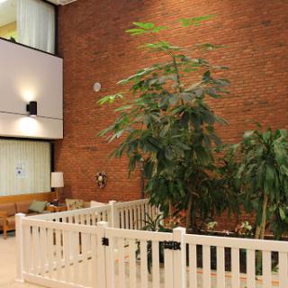 A serene indoor space featuring lush plants enclosed by a white fence against a backdrop of a warm brick wall.