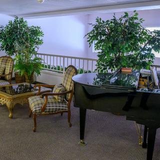 A cozy lounge area featuring a grand piano, arranged with comfortable chairs and lush green plants.