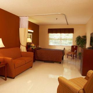 A cozy living space featuring a sofa, a bed, and ample natural light.