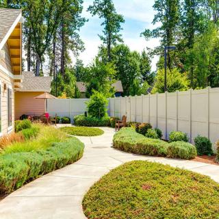 A sunny garden pathway lined with shrubs and bordered by a tall fence.