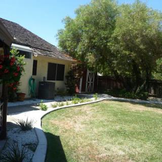 A sunny backyard with a lawn, trees, and a house with a pathway.