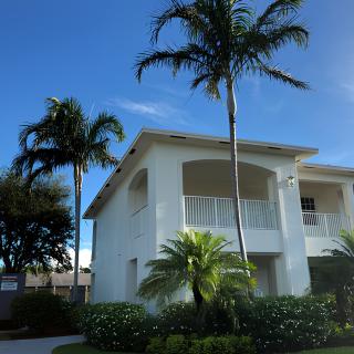 A tropical house with palm trees under a clear blue sky.