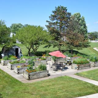 A lush garden with raised beds and a red umbrella in a sunny outdoor setting.