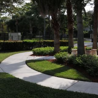 A winding garden pathway surrounded by lush greenery and trees.