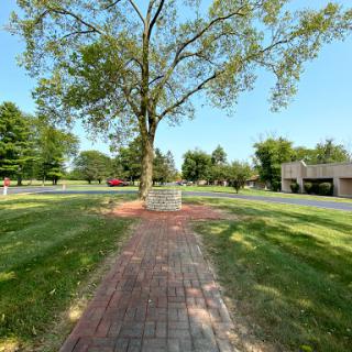 A serene pathway lined with grass and a large tree, leading through a peaceful park.
