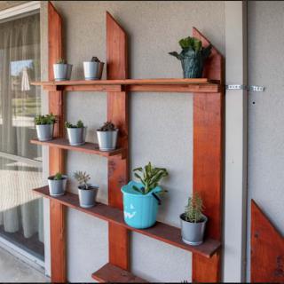 A stylish wooden shelf displaying an assortment of potted plants, perfect for enhancing indoor spaces.