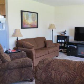 A cozy living room with brown seating furniture, a television, and decorative elements.