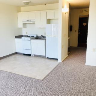 A compact studio apartment with a kitchenette and carpeted living area.