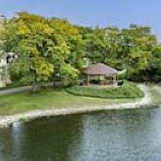 A scenic view of a gazebo by a lake surrounded by lush trees.