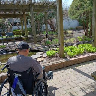 A serene view of a garden enjoyed from a wheelchair, highlighting the beauty of nature and accessibility.