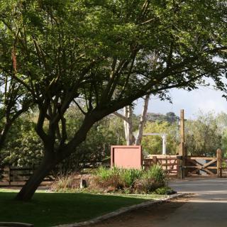 A serene park scene with trees and a gate in the background.