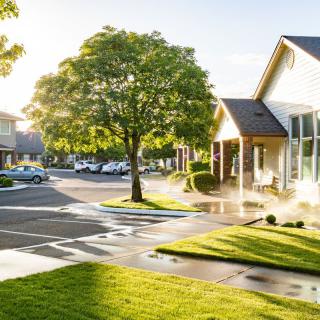 A peaceful suburban neighborhood with houses surrounded by greenery and trees under bright sunlight.