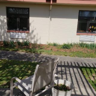A sunny outdoor area with a chair and blooming flowers beside the building.