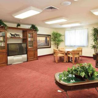 A cozy living room with wooden furniture, a television, indoor plants, and a red carpet.