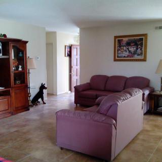 A cozy living room featuring a sofa set, a dog near the entrance, and a wooden cabinet with lamps and artwork on the wall.