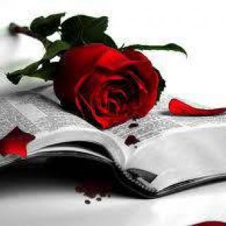 Rose of Sharon Personal Care Home