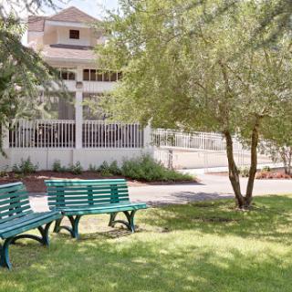 A serene park setting featuring green benches under the shade of trees.