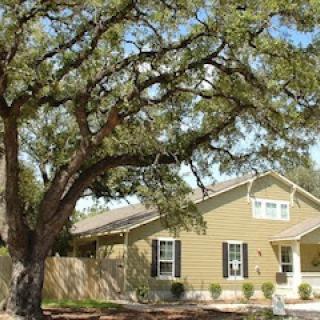 A cozy residential house with a large tree in the front yard.