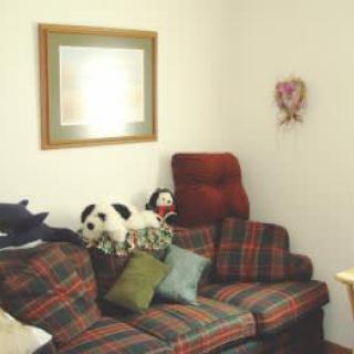 A cozy living room with a plaid-patterned sofa, decorative cushions, and a dog relaxing on top. The walls are adorned with framed art and unique decor.