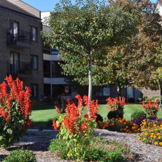 A landscaped garden with vibrant red and orange flowers in front of a building on a sunny day.