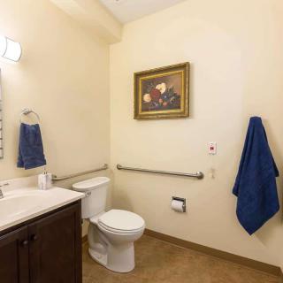 A well-lit bathroom featuring a toilet, sink with a mirror, artwork on the wall, and blue towels.