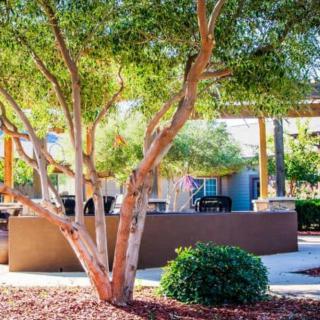 A tranquil garden patio area surrounded by trees and lush greenery.
