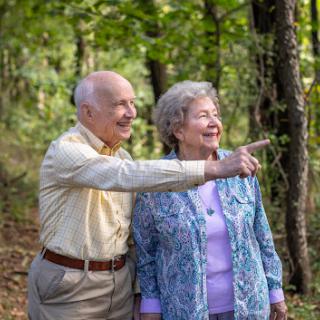 A joyful elderly couple enjoying a walk in the woods, pointing at something interesting.