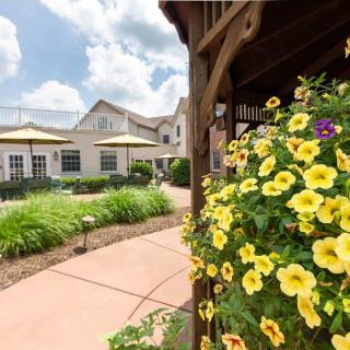 A beautiful garden with vibrant yellow flowers next to a building under a bright blue sky.