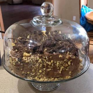 A chocolate cake with nuts under a glass dome in a kitchen setting.