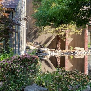 A serene garden with a reflective pond surrounded by lush greenery and architectural elements.