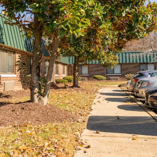 A peaceful parking area surrounded by trees and buildings, showcasing the beauty of autumn.