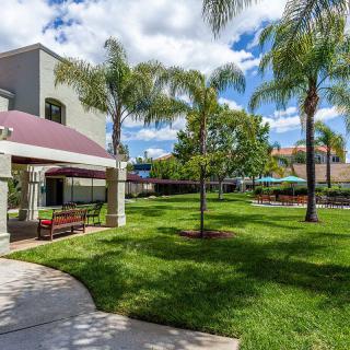 A well-maintained garden with palm trees and a building under a partly cloudy sky.
