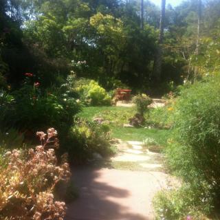 A sunlit garden pathway surrounded by lush greenery and various plants.