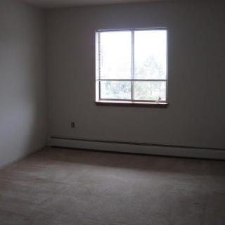 An empty room with a window letting in natural light, featuring a carpeted floor and plain walls.