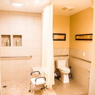 A handicap-accessible bathroom with a shower, toilet, and grab bars.